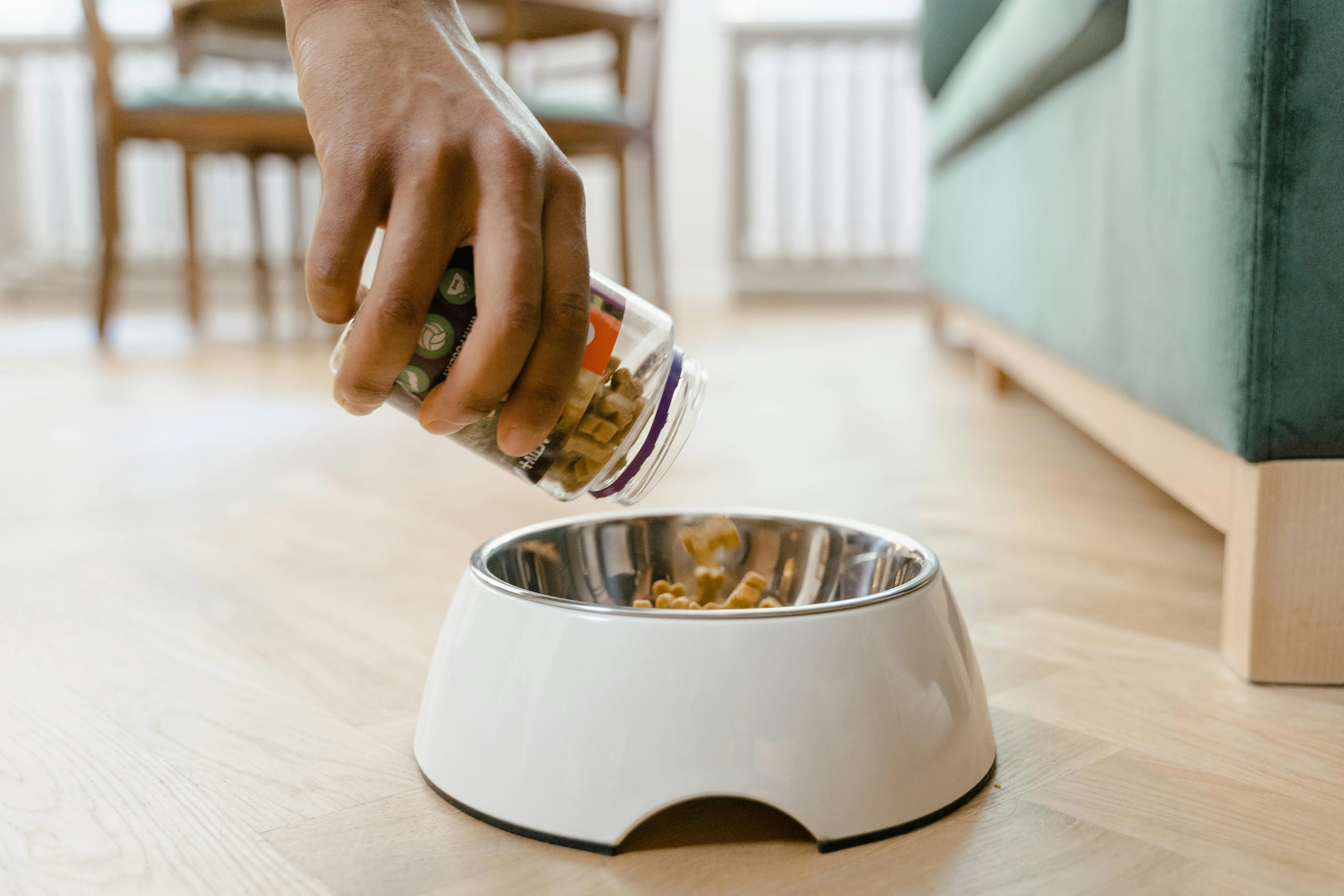 BOUHIER ALIMENTATION ANIMALE - pexels-mart-production-8434744