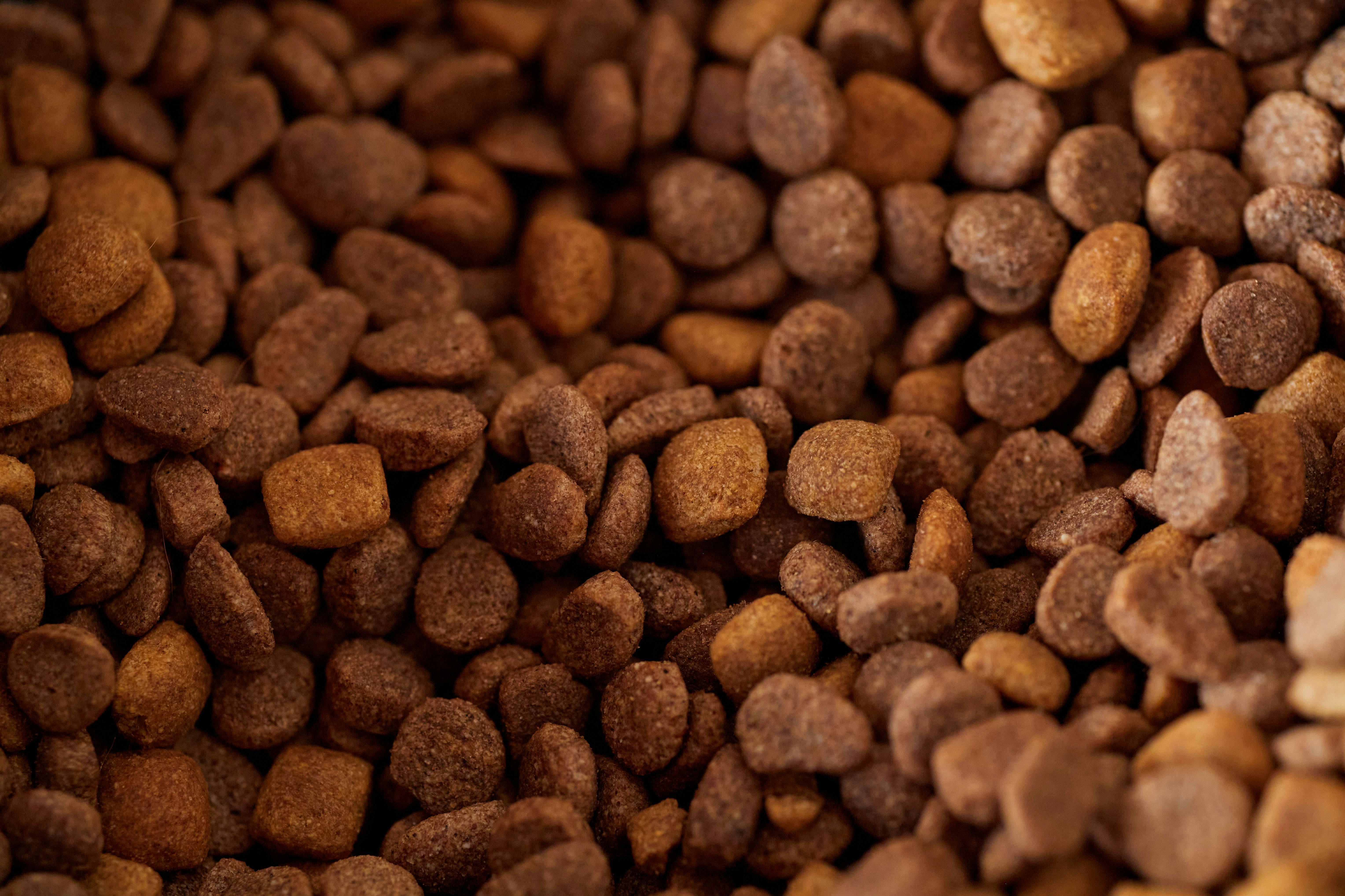 BOUHIER ALIMENTATION ANIMALE - pexels-rrodriguesim-34952074